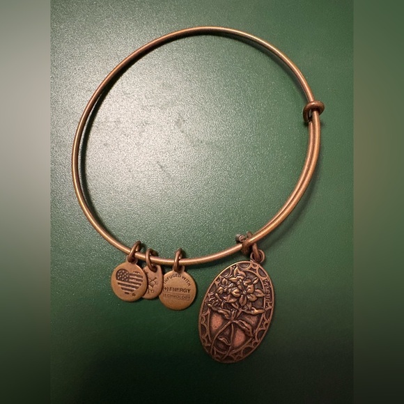 Alex and Ani Gold Charm Bracelet - Picture 1 of 2